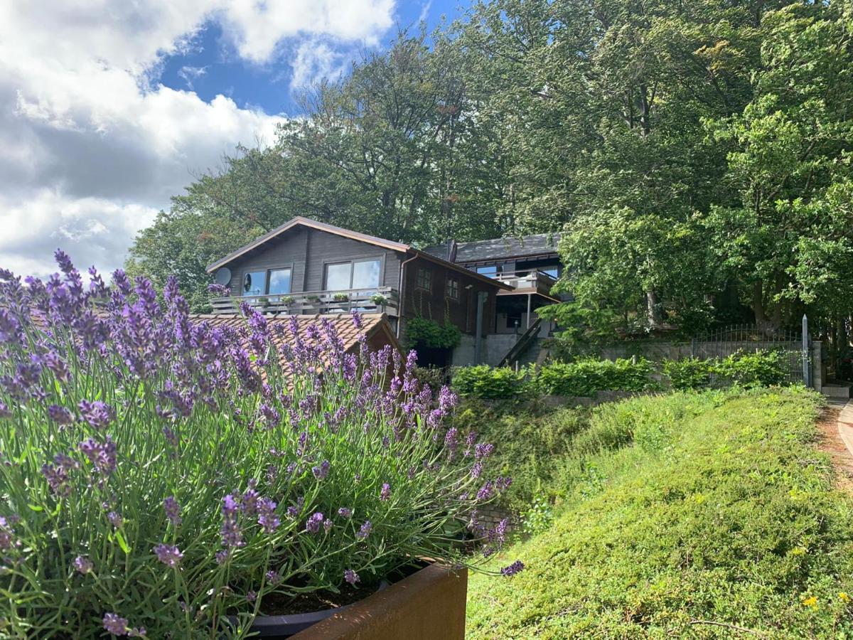 Chalet De La Sabliere Amougies Екстер'єр фото